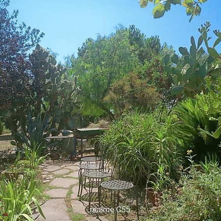 La Casa Di Fede Ξενοδοχείο Lanuvio Εξωτερικό φωτογραφία