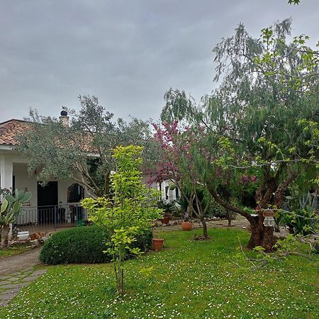 La Casa Di Fede Ξενοδοχείο Lanuvio Εξωτερικό φωτογραφία