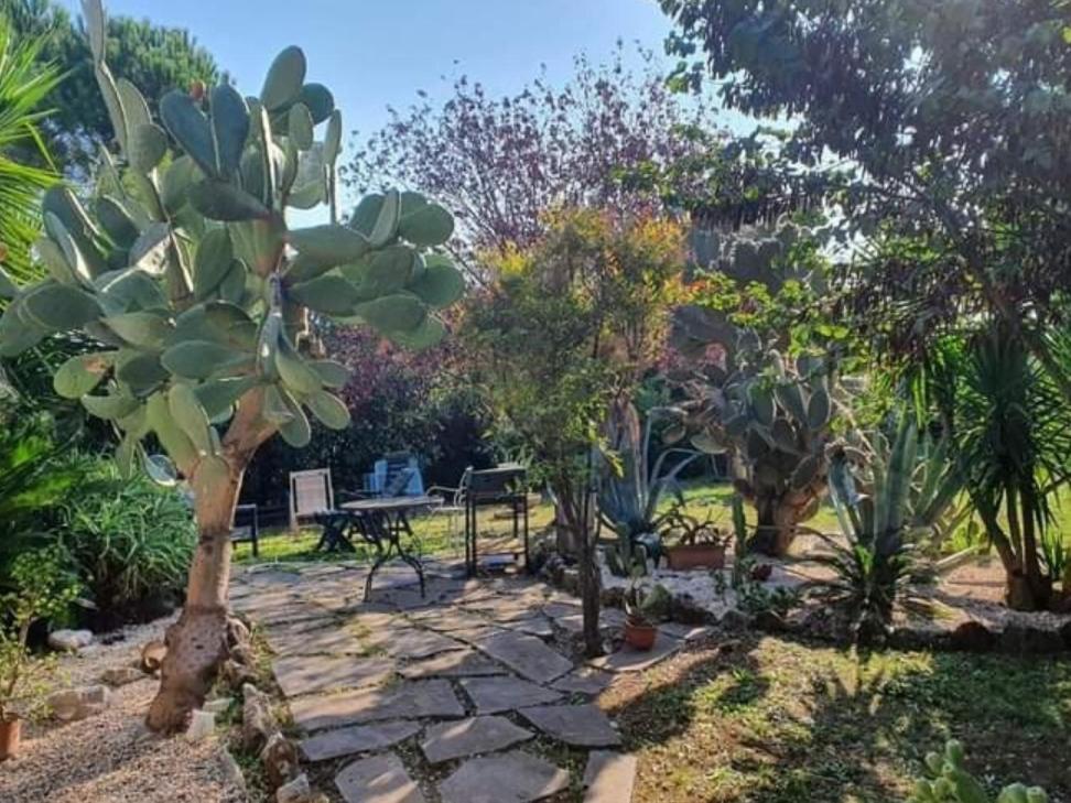 La Casa Di Fede Ξενοδοχείο Lanuvio Δωμάτιο φωτογραφία