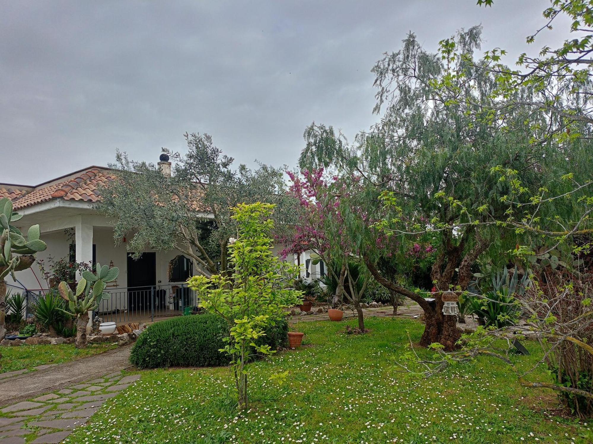 La Casa Di Fede Ξενοδοχείο Lanuvio Εξωτερικό φωτογραφία